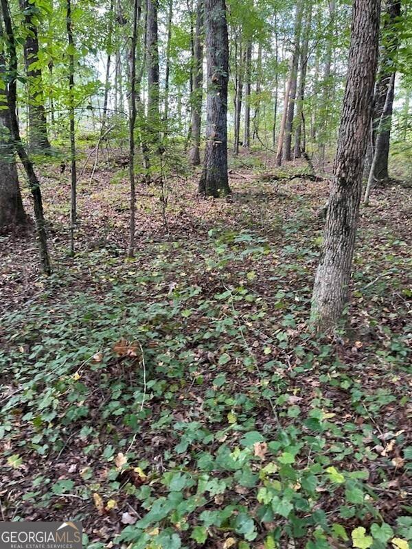 12 Winterberry LN SE, Rome, GA 30161