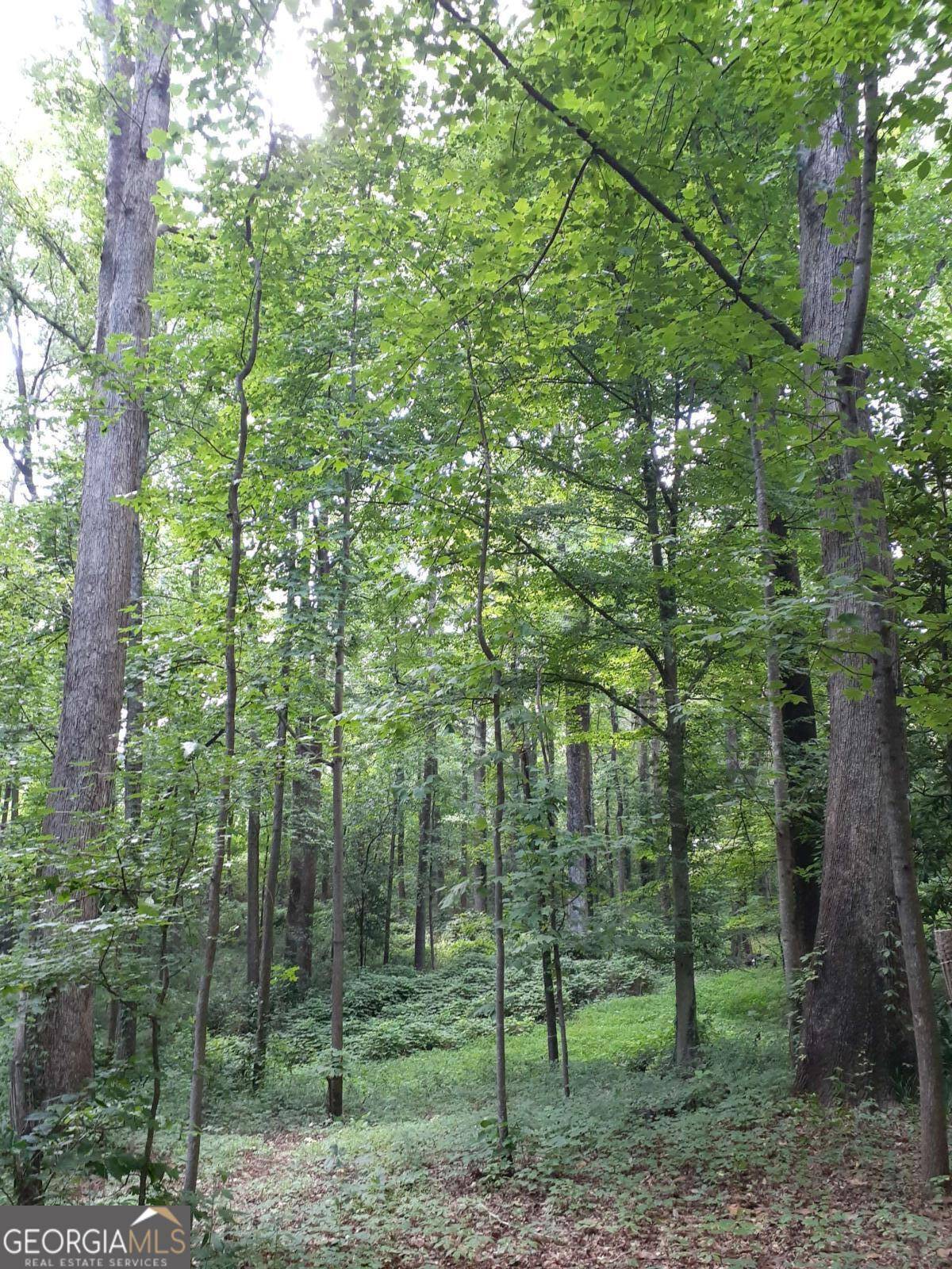 Atlanta, GA 30315,69 Schell RD SE
