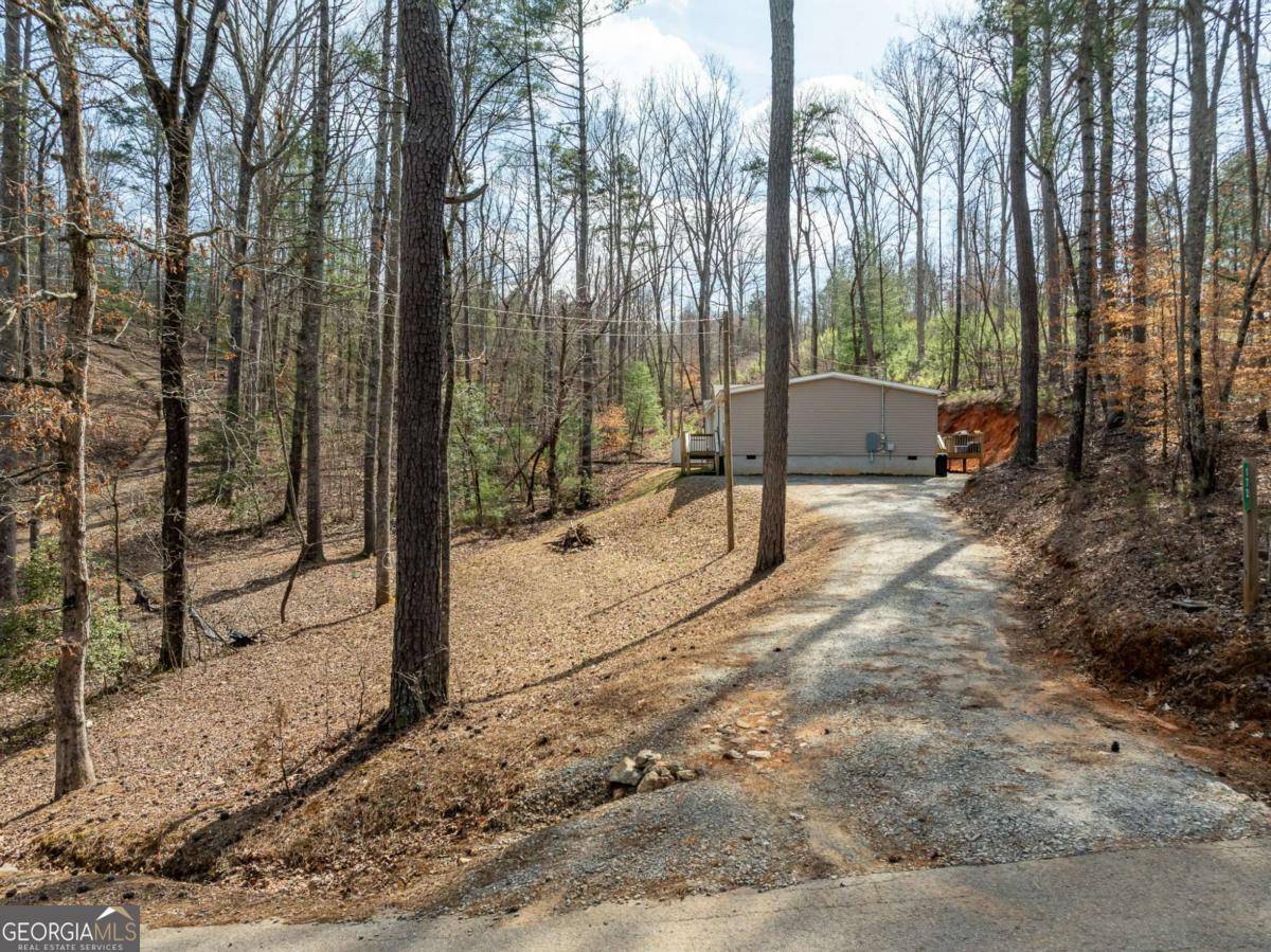 Ellijay, GA 30540,172 Rose Wood LN #17