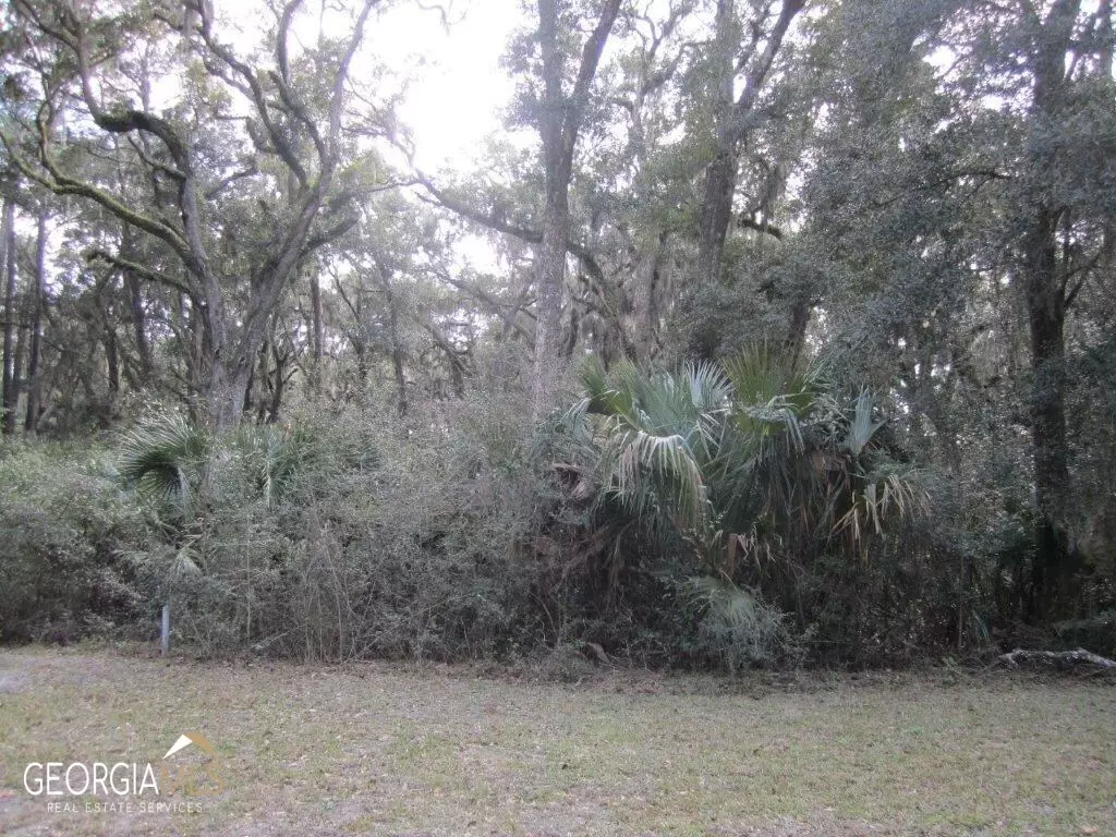 St. Marys, GA 31558,V/L 1005, 103 Doubloon CT