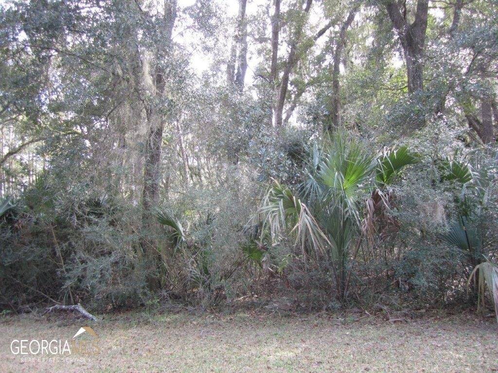 St. Marys, GA 31558,V/L 1005, 103 Doubloon CT