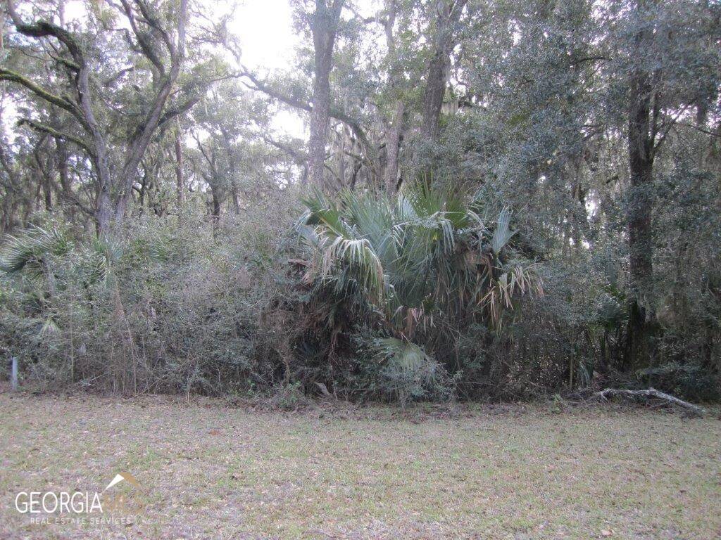 St. Marys, GA 31558,V/L 1005, 103 Doubloon CT