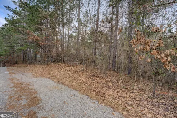 Monticello, GA 31064,LOT 90 GOLDENEYE CT