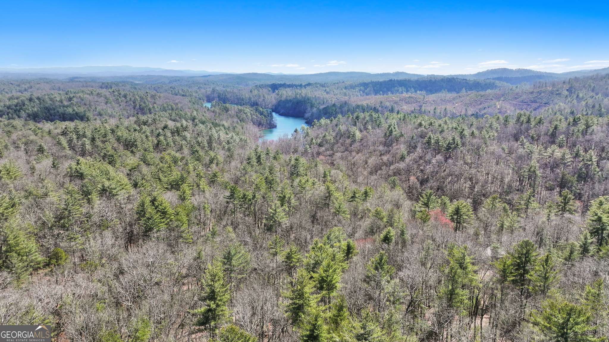 11.1 AC. Stevens Ridge RD, Ellijay, GA 30540