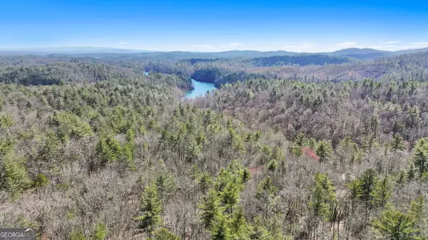 11.1 AC. Stevens Ridge RD, Ellijay, GA 30540