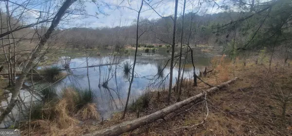 Griffin, GA 30223,306 Patterson RD