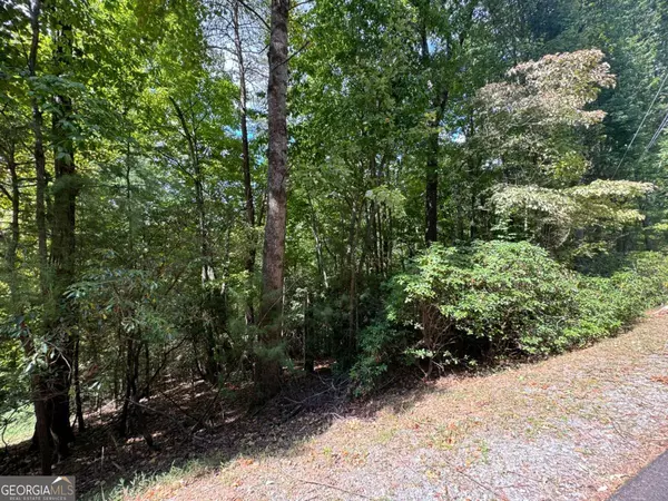 Ellijay, GA 30536,LOT M42 Sleepy Hollow RD