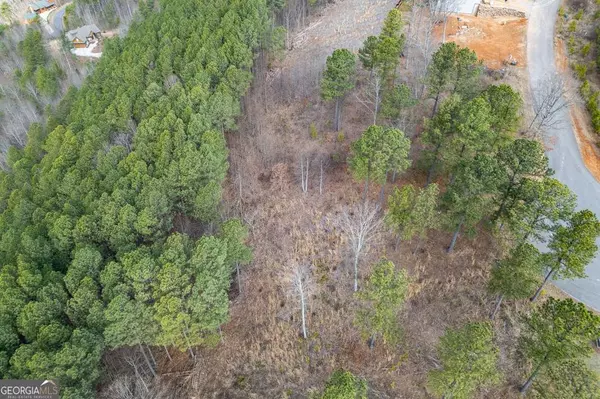 Blairsville, GA 30512,LOT 13 Thirteen Hundred #13