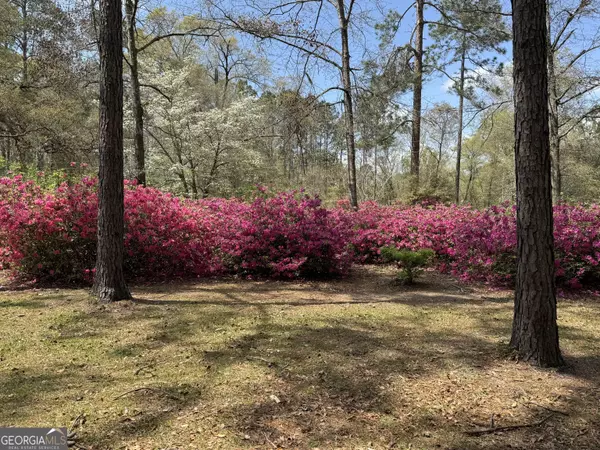 Guyton, GA 31312,379 Riverside DR