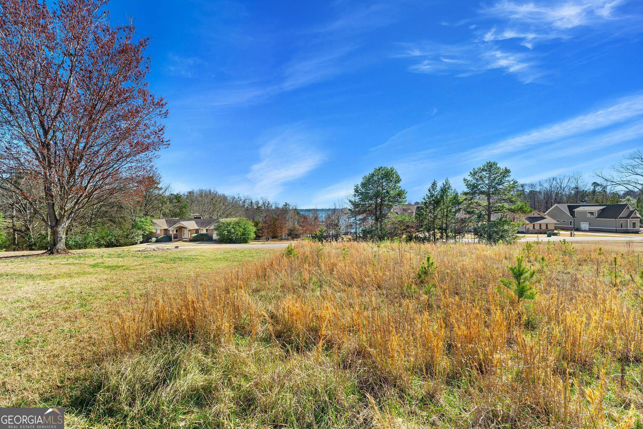 Hartwell, GA 30643,0 Majestic Shores TRL