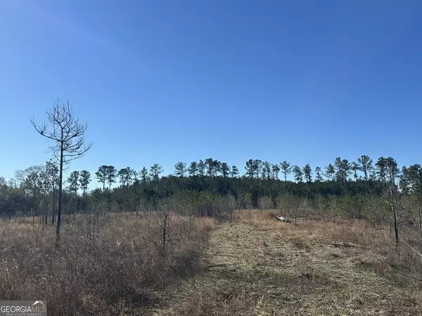 Butler, GA 31006,69 Mt Sinai Church RD
