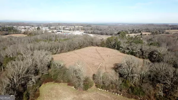 Carnesville, GA 30521,20511 Highway 59