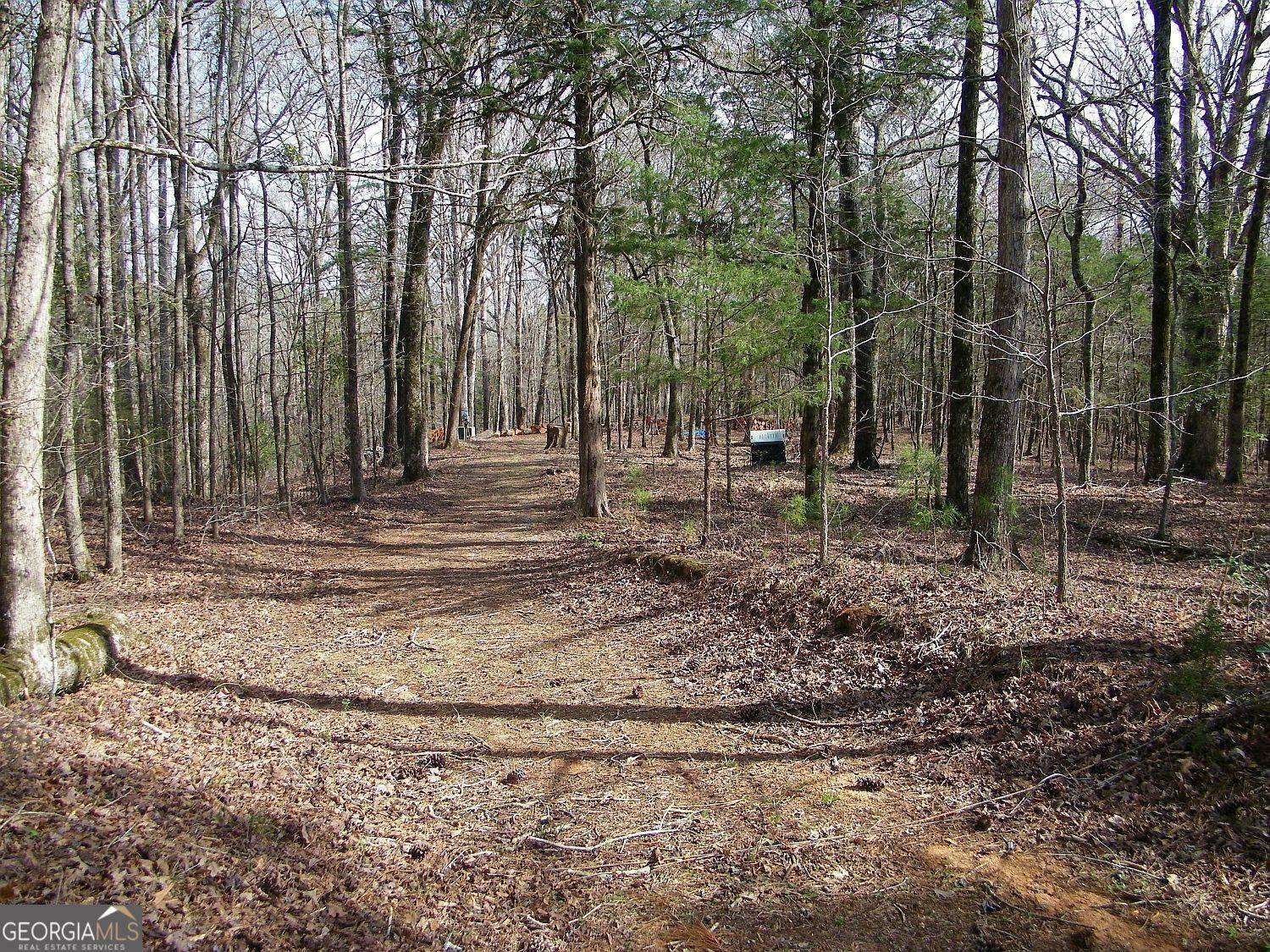 Elberton, GA 30635,LOT 25 Benjamin Brown CT