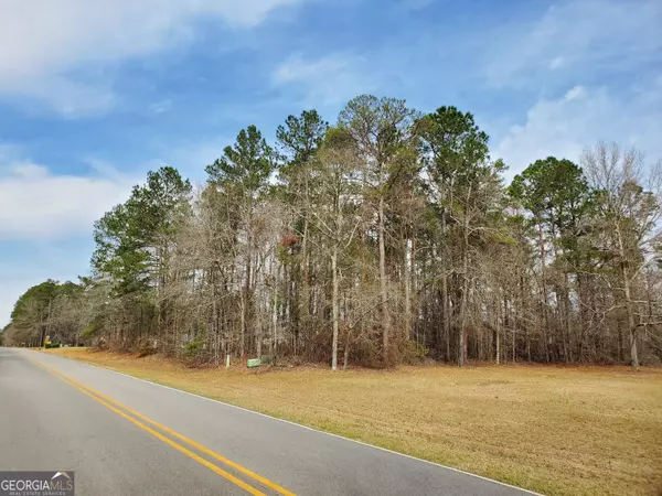 Sandersville, GA 31082,300 Plantation DR