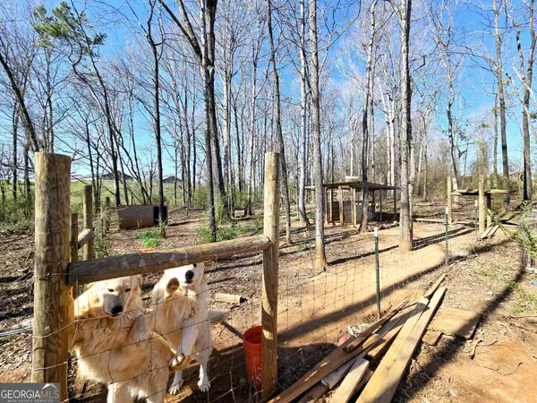 Danielsville, GA 30633,305 Langford Carey RD