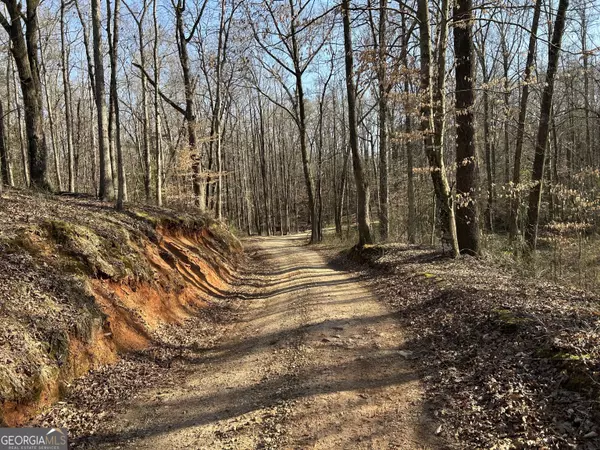 Bowman, GA 30624,0 Lloyd Rousey RD