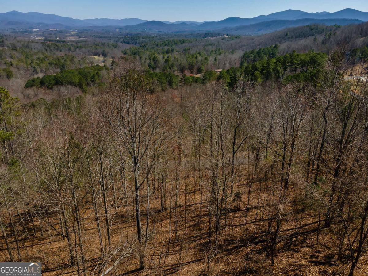 Blairsville, GA 30512,LOT 38 The Hills At Queens Gap