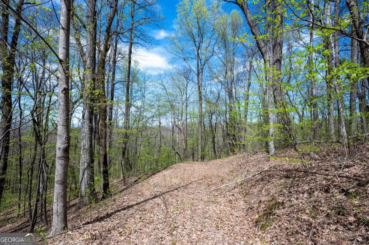 Ellijay, GA 30540,LOT 7R Mountain Falls LOOP