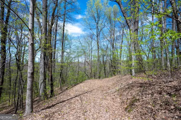 LOT 7R Mountain Falls LOOP, Ellijay, GA 30540