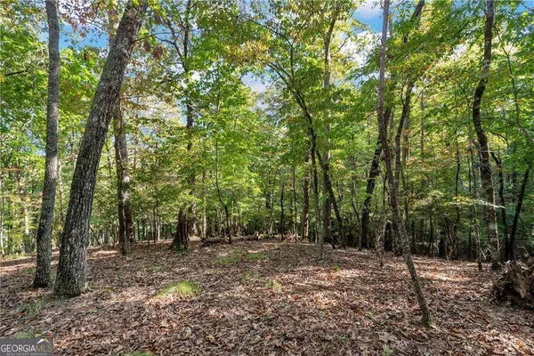 Dahlonega, GA 30533,133 Stamp Mill DR