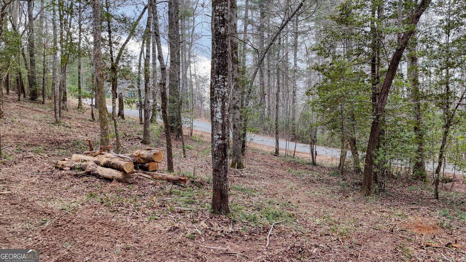 Blairsville, GA 30512,LOT 14 Fiddlers Cove