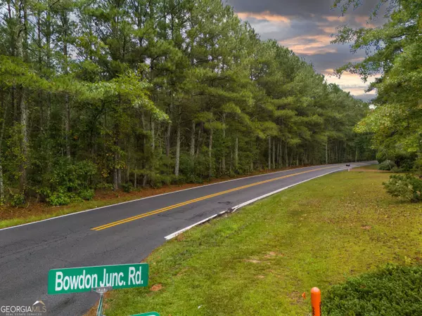 Carrollton, GA 30117,LOT 4 Bowdon Junction RD