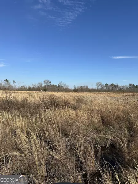 0 Scott S Store (15 Acres) RD, Millen, GA 30442