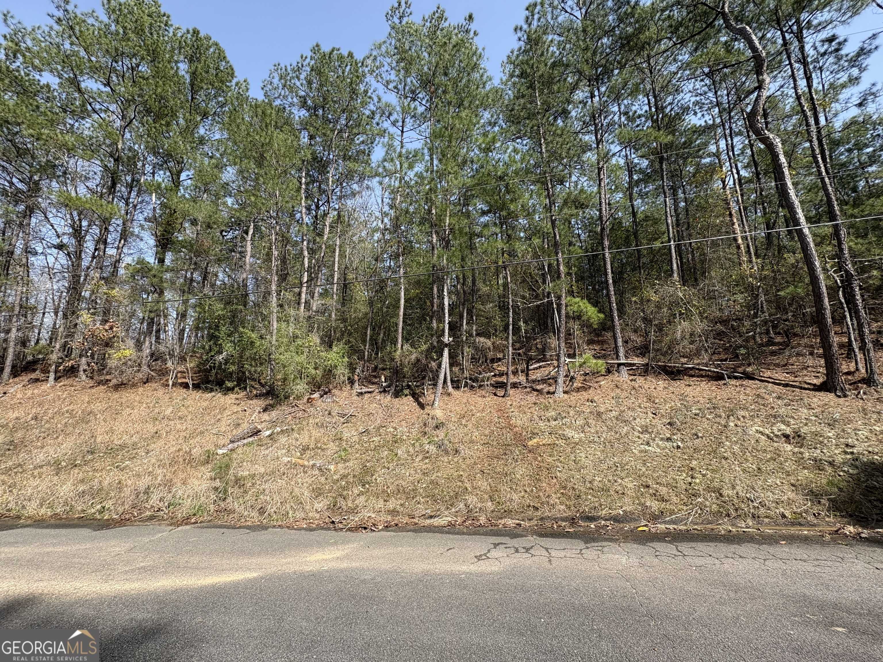 Macon, GA 31211,1965 Deerwood PL