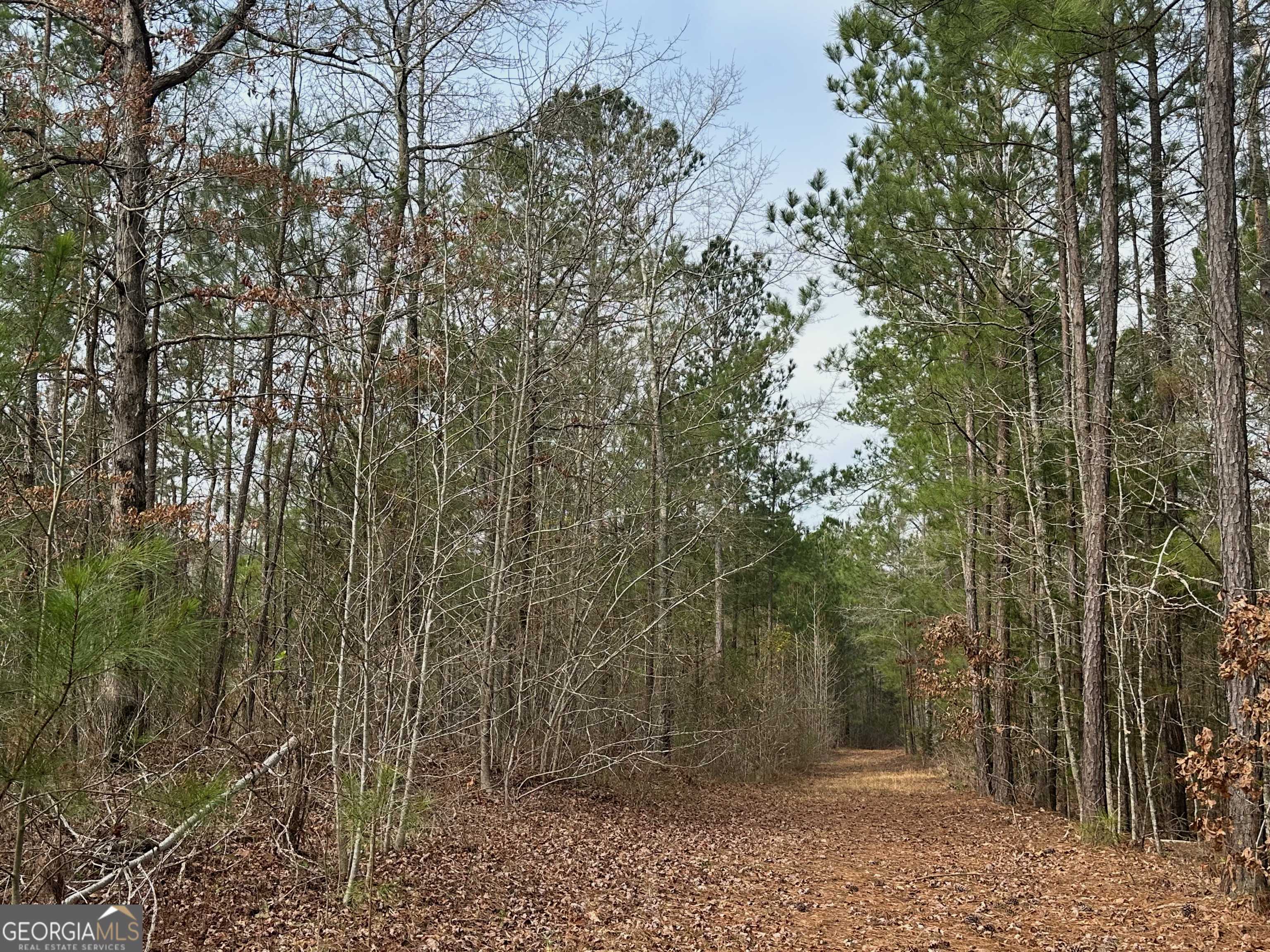Yatesville, GA 31097,0 Rock Quarry Rd 35.55 Acres +/-