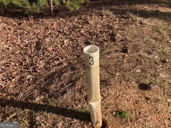 Greensboro, GA 30642,1060 Dejarnet PL
