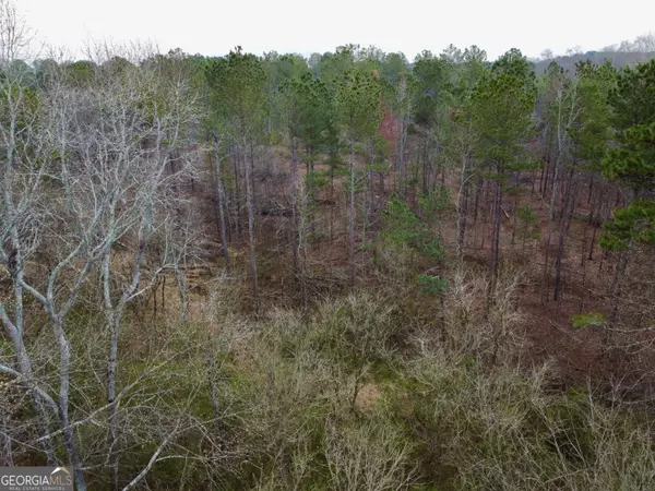Good Hope, GA 30641,5555 Highway 186