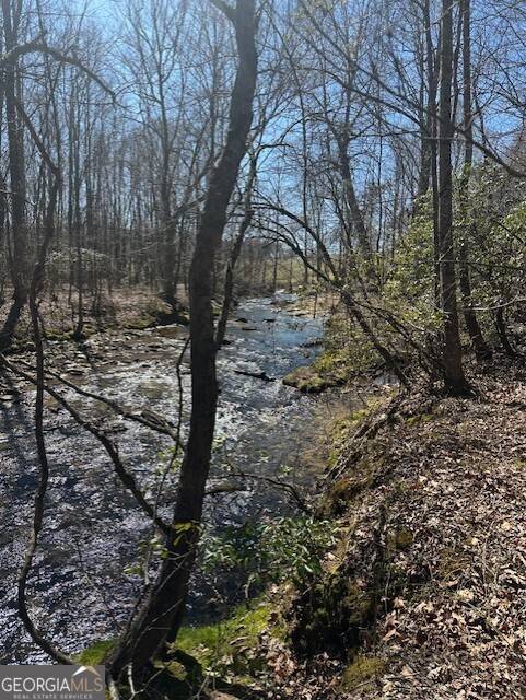 Talking Rock, GA 30175,LOT 16 Bravo WAY