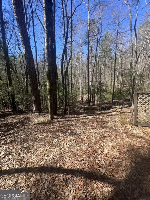 Tiger, GA 30576,508 Sterrett RD