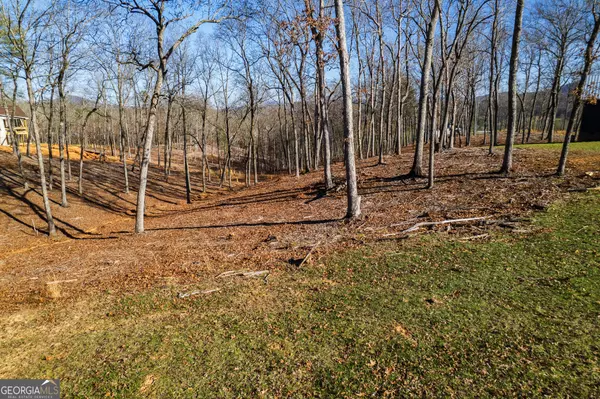Morganton, GA 30560,171 Split Creek CT
