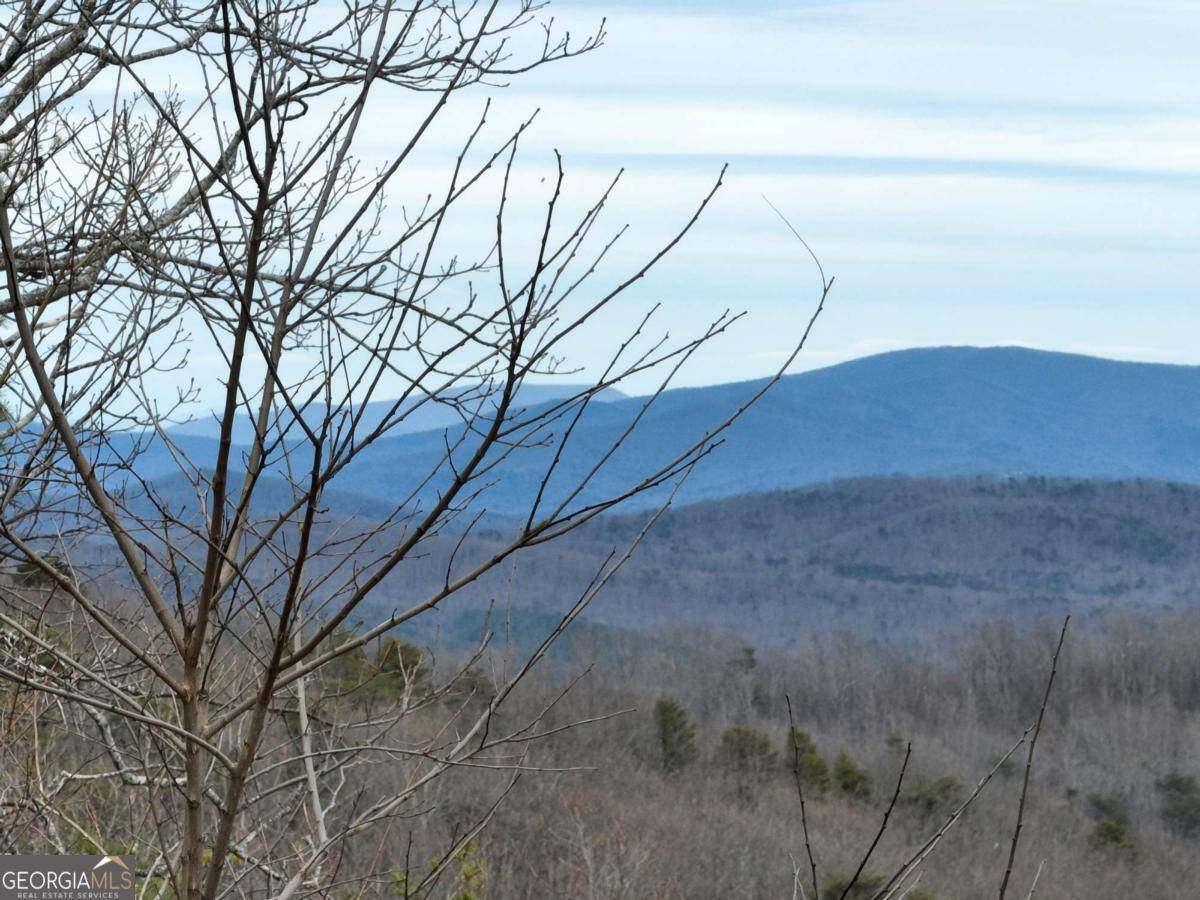 Ellijay, GA 30536,235 Andes Ridge DR