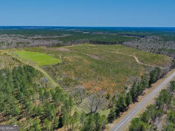 Davisboro, GA 31018,5455 Harrison Davisboro RD