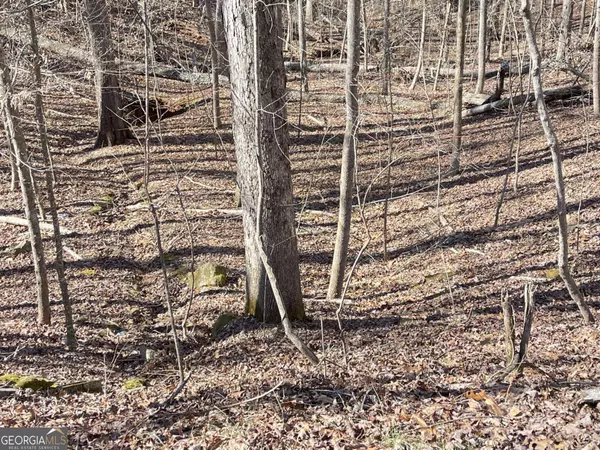 Murrayville, GA 30564,7802 Beachwood DR