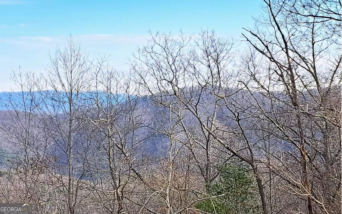 Chatsworth, GA 30705,LOT2 Summit PASS
