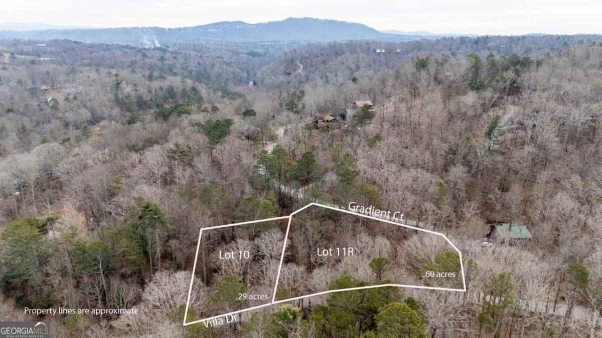 Ellijay, GA 30540,LT10&11R Villa DR