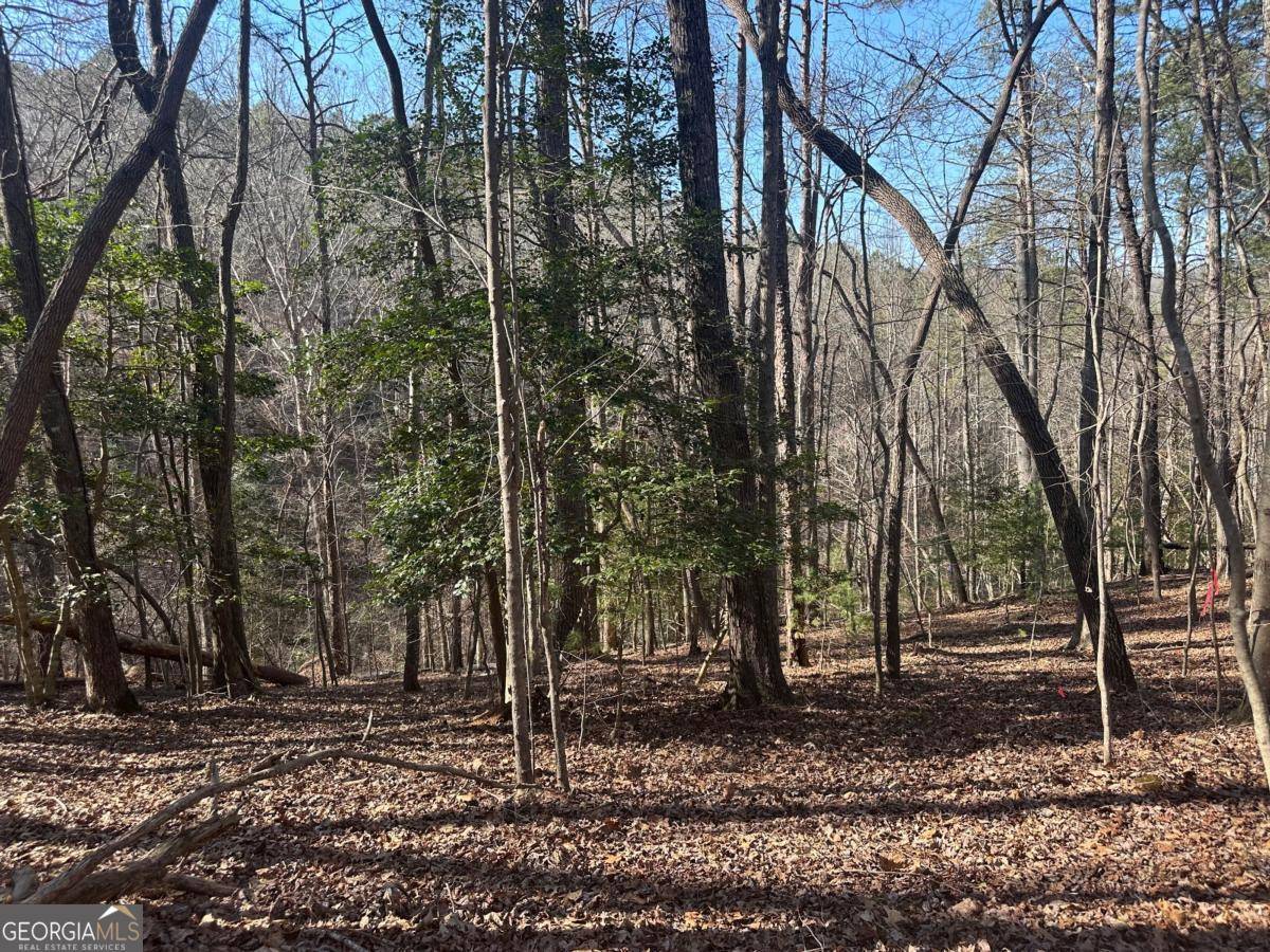 Ellijay, GA 30540,LT10&11R Villa DR