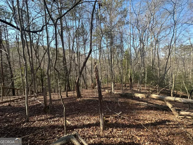 LT10&11R Villa DR, Ellijay, GA 30540