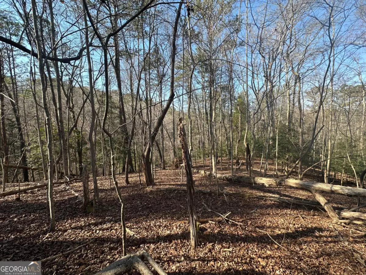 Ellijay, GA 30540,LT10&11R Villa DR