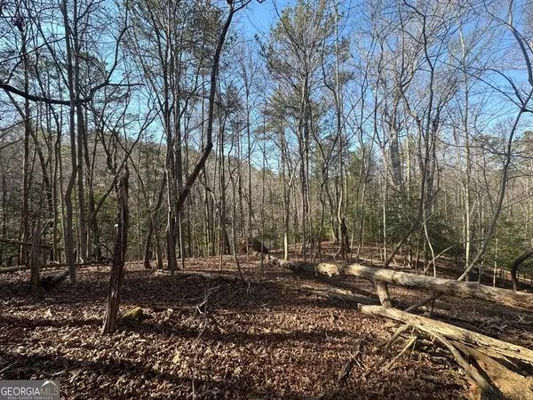 Ellijay, GA 30540,LT10&11R Villa DR