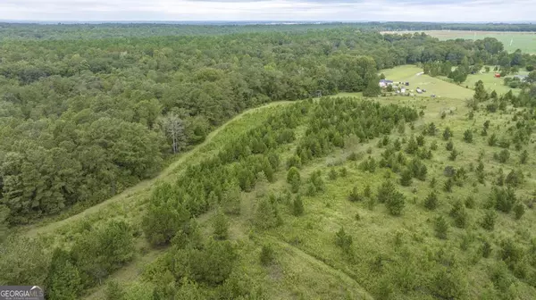 Fort Valley, GA 31030,1636 Tribble RD