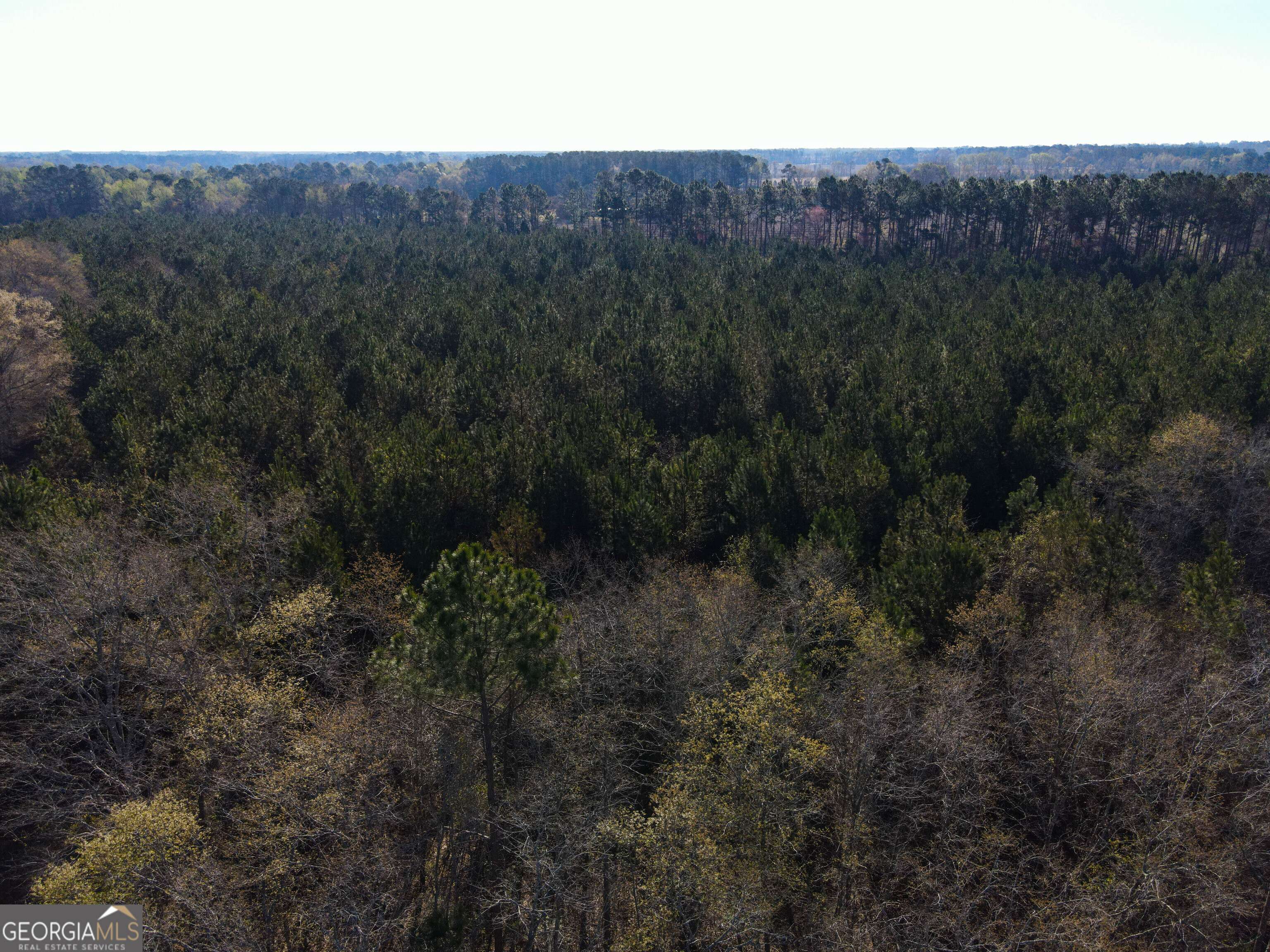 Statesboro, GA 30458,0 Clifton RD #LOT 6