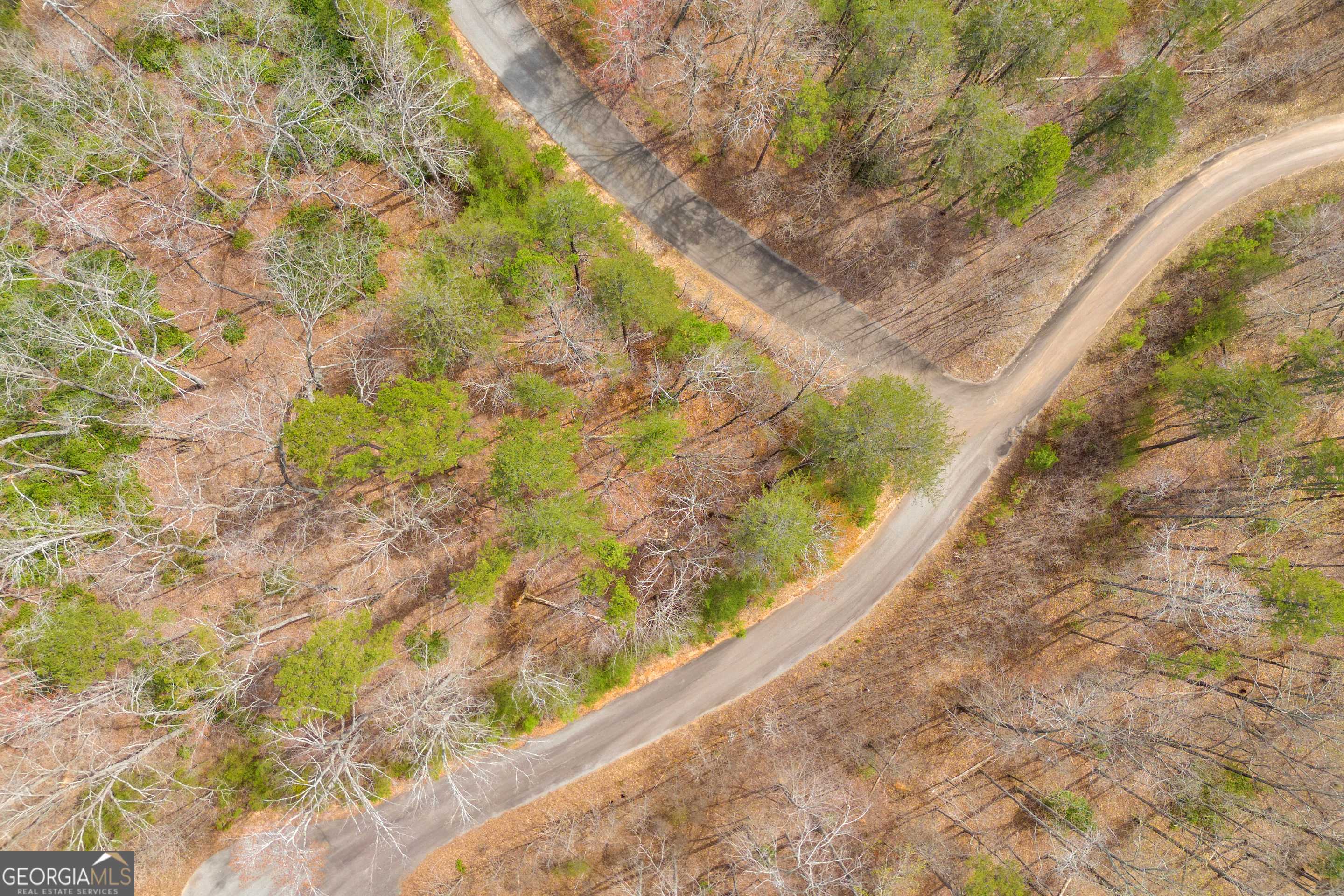 Baldwin, GA 30511,0 Planters CRK #LOT 34