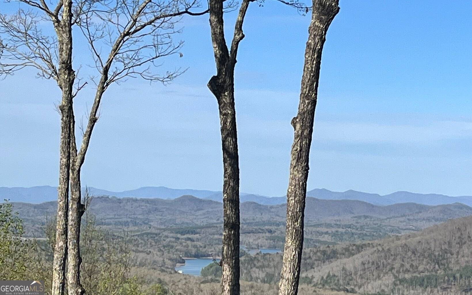 Blairsville, GA 30512,LOT 118 Croft Mtn RD