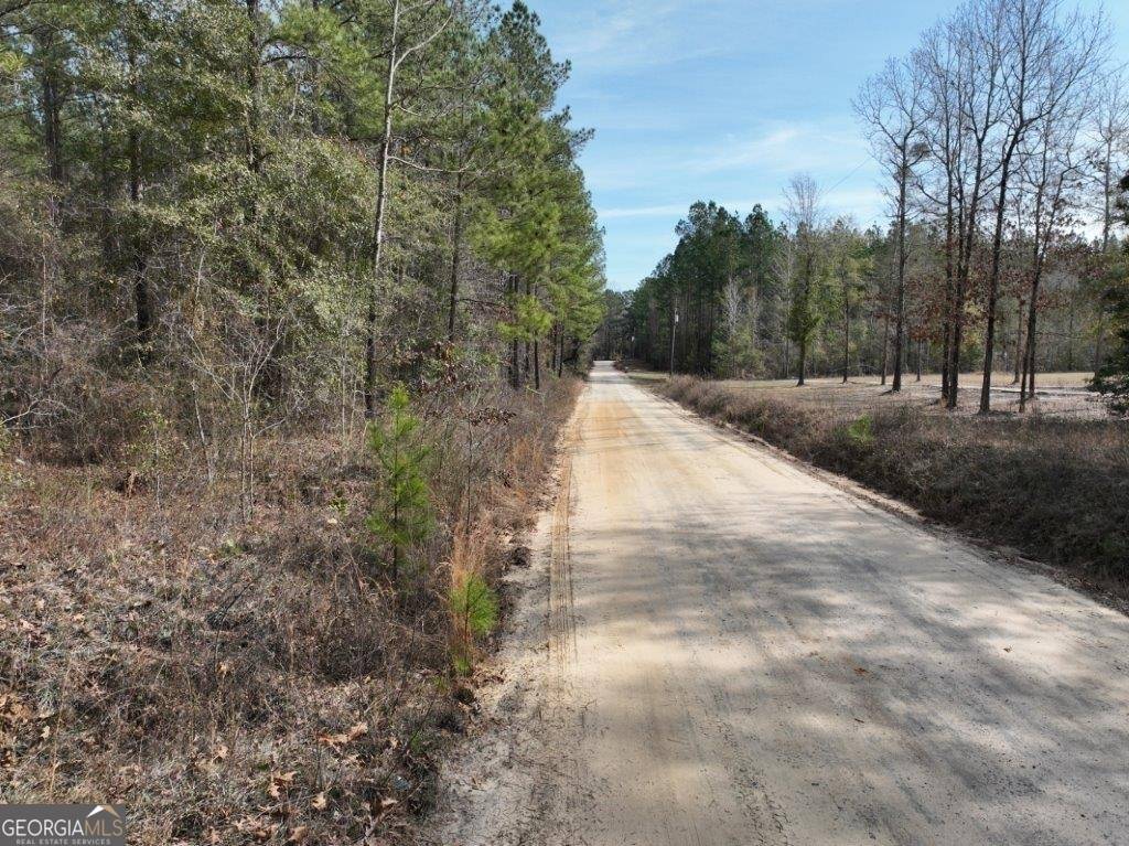 Stapleton, GA 30823,0 Clarks Bridge Road