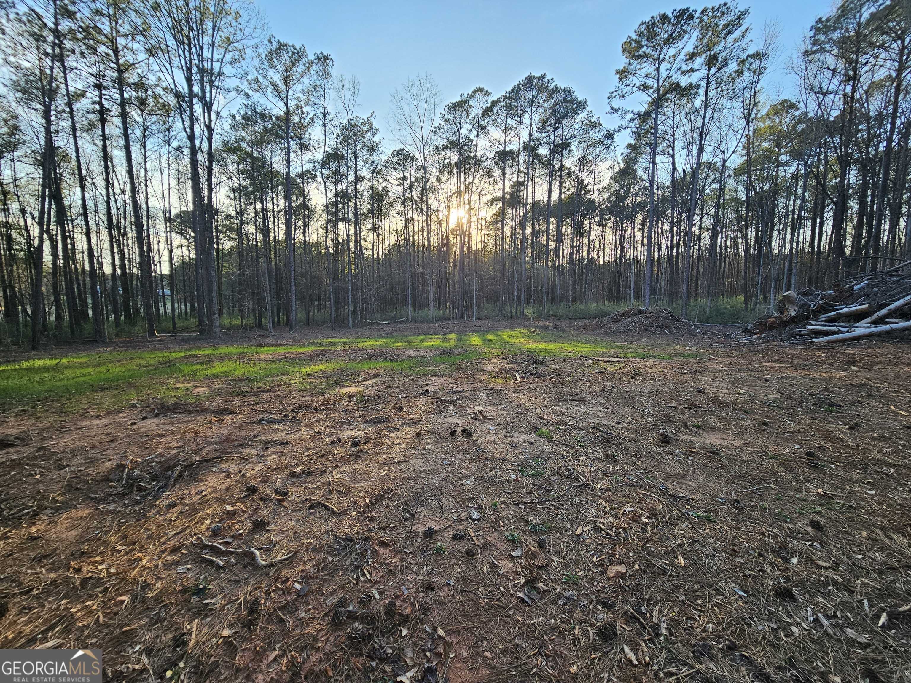 Monticello, GA 31064,9.19 AC Gay RD