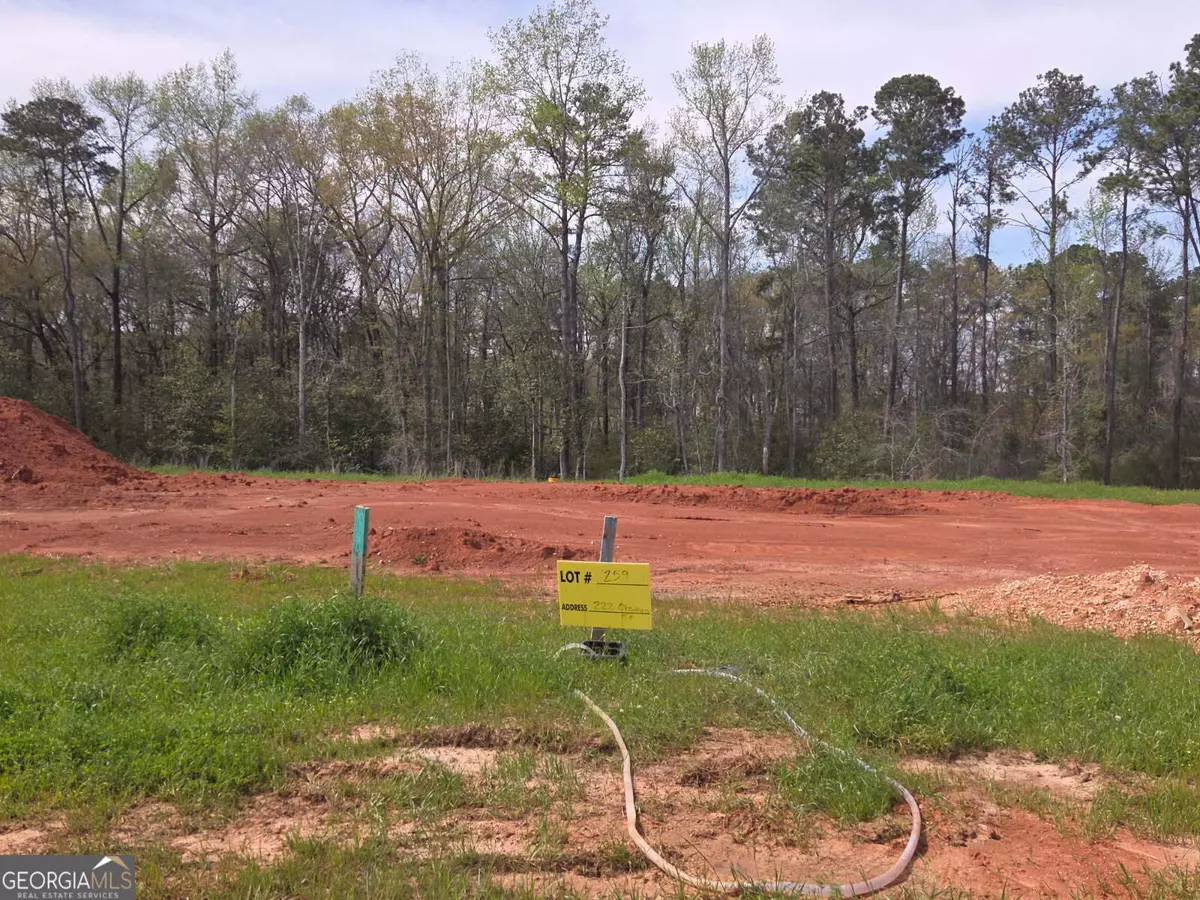Perry, GA 31069,222 Obsidian DR